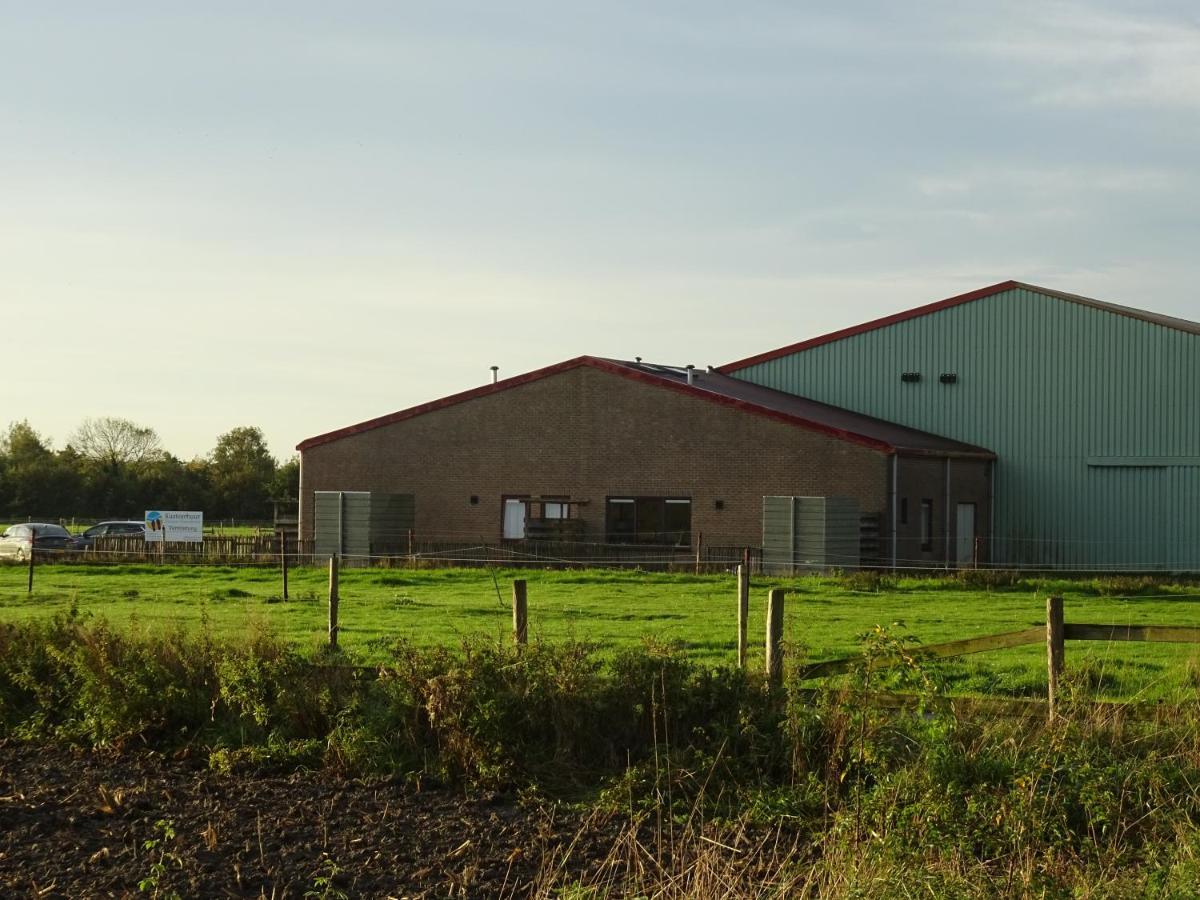 Kustverhuur, Oude Manege Nieuwvliet, Nieuwvliet 3 - 9 ภายนอก รูปภาพ